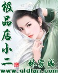 极品店小二